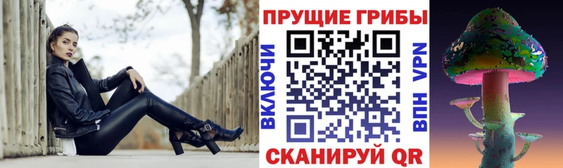 Псилоцибиновые грибы Psilocybine cubensis  Вуктыл 